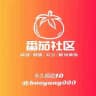 新手必看（流程）-番茄社区