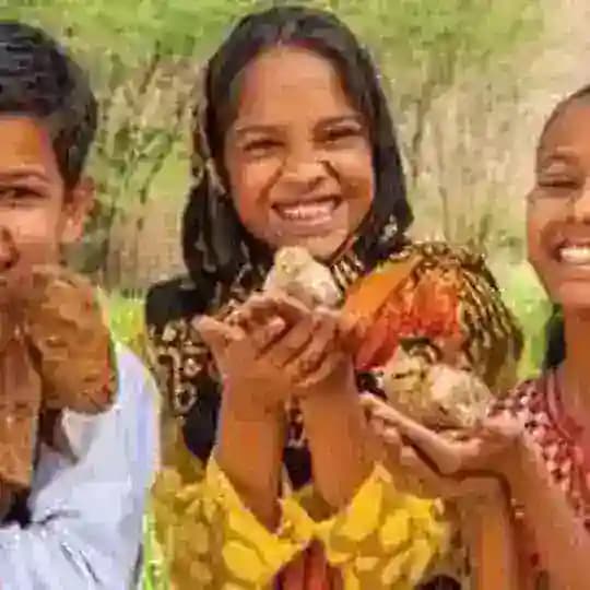 FEEDTHECHILDREN