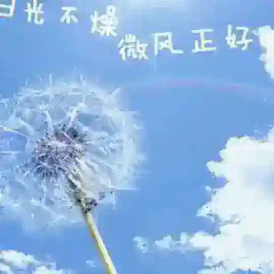 菲菲上货频道