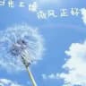 菲菲上货频道