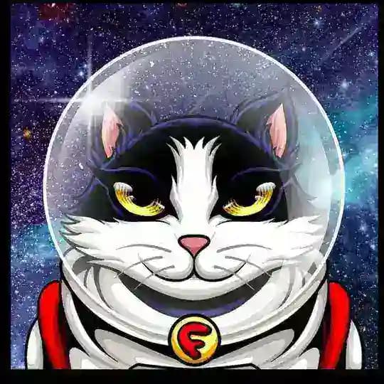 Felicette Space Cat - Community