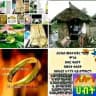 መርጌታ አክሊሉ