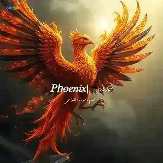 فیلم و سریال | ققنوس