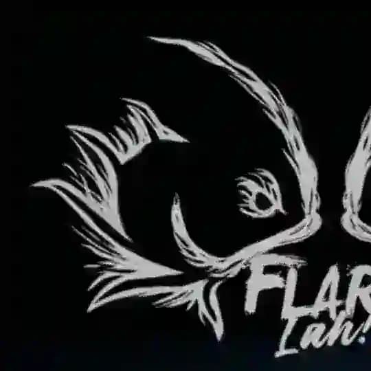 FlareLah! - Singapore Betta Competition