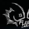FlareLah! - Singapore Betta Competition