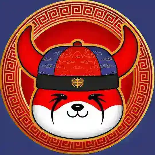 Flochi INU