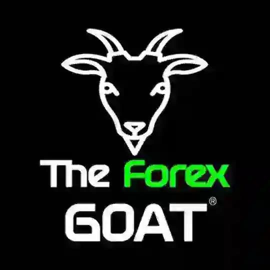 THE FOREX GOAT 🚀