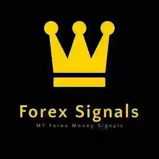 Forex Signals Kings