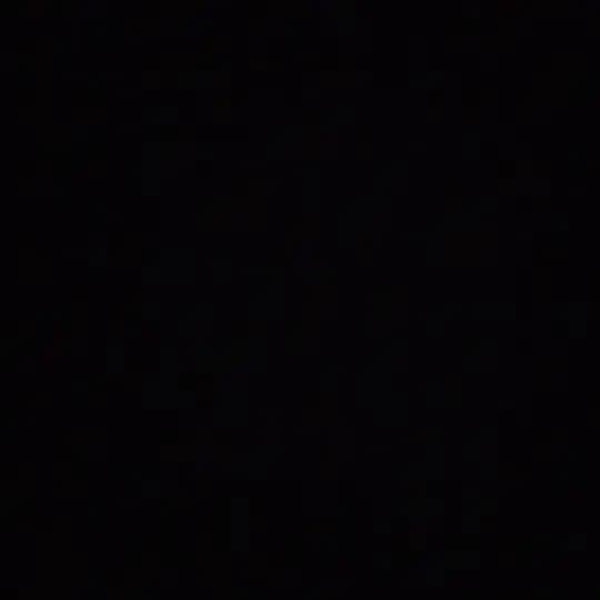 Forex Crypto IRAN | فارکس کریپتو ایران Profile