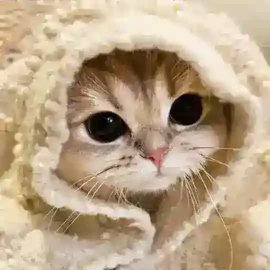 Я хочу