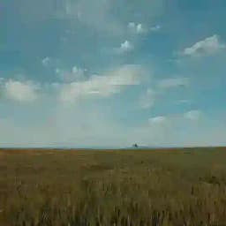 Türkiye'den Kareler ️ Profile