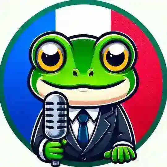 France Information 🇫🇷 Froggy TV 🐸 Profile