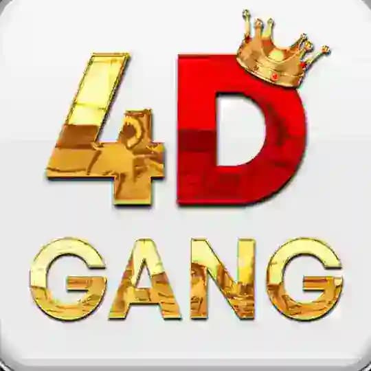 4DGANG Official Channel