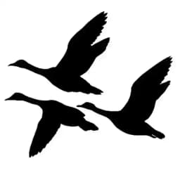 Freies Reisen EU 🕊🗺🏝🏔🚘🛩 Profile