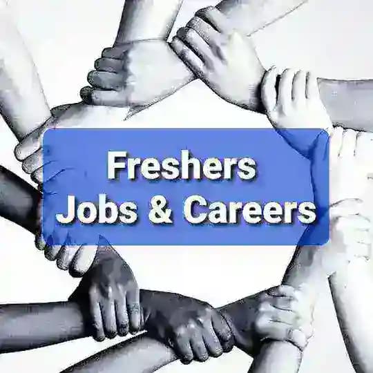 Freshers Jobs & Careers Profile