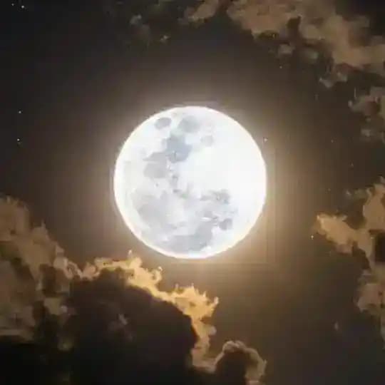 FULL MOON FASTING Profile