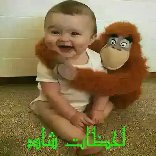 😁 لحظات شاد😁 دوربین مخفی کلیپ بامزه جوک جدید باحال چالش رقص خفن طنز کلیپ شاد خنده دار😝