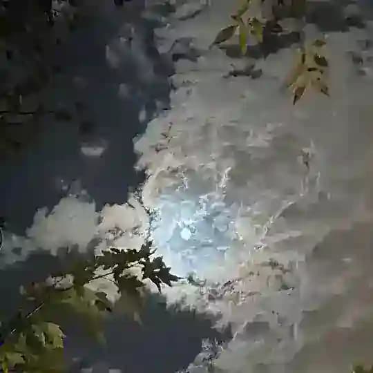 أمانتي🤍.