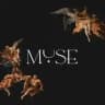 MUSE 🪬 Блакитна 1432
