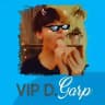 Información del Canal VIP