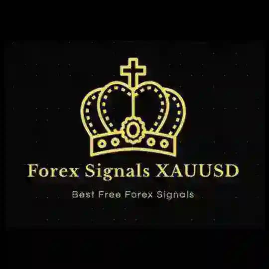 GOLD TRADER IMPACT
