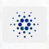 Referral Cardano (ADA) ~ Payment