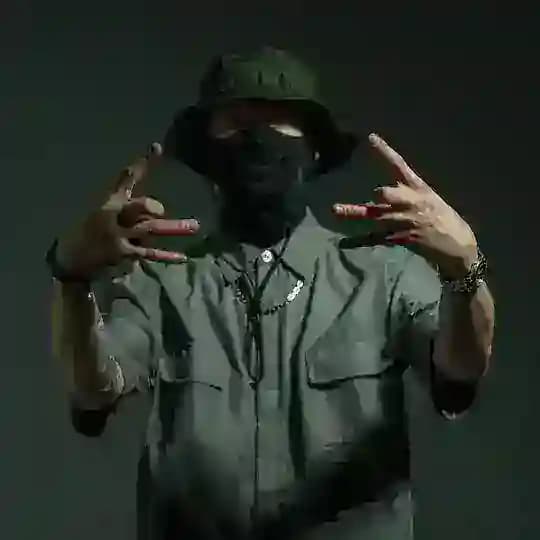 GINSTONER