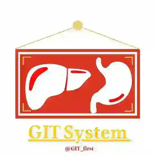 GIT System