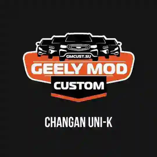 DevBlog_UNI-K_China_GMCustoms