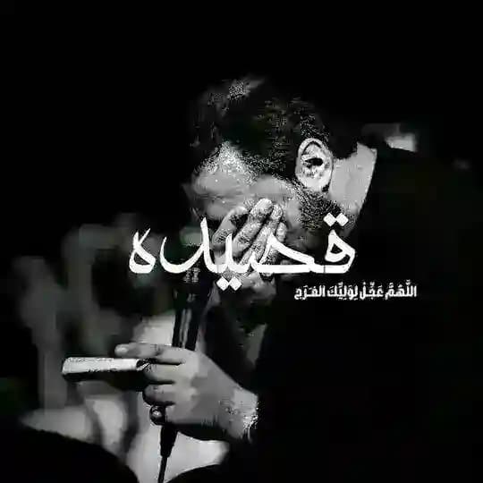 قـصيده