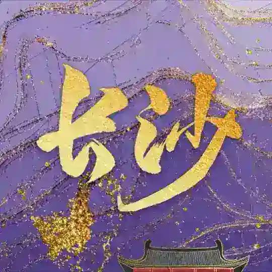 长沙市岳麓4T技师榜