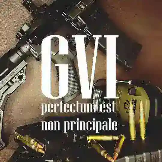 Галімі Волини Індастріз | GVI