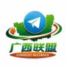 广西联盟