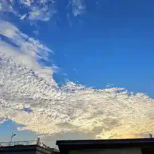 三角洲公益内核科技-暗区突围-和平精英-未来之役 Profile