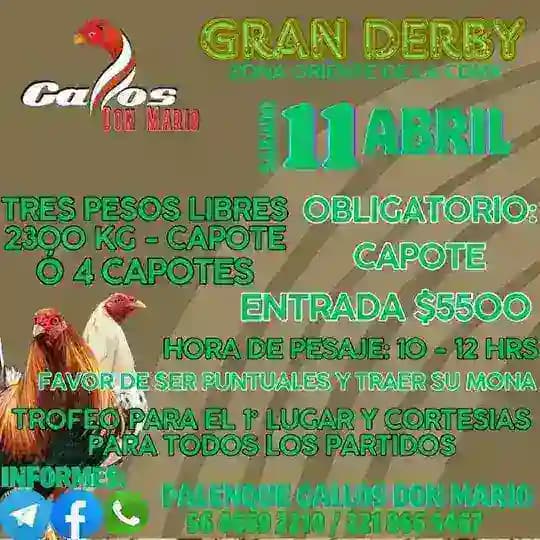 Gallos Don Mario Profile