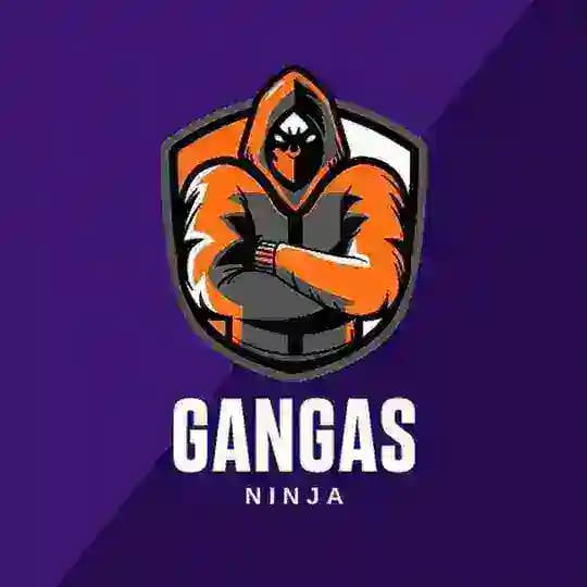 Gangas Ninja Profile