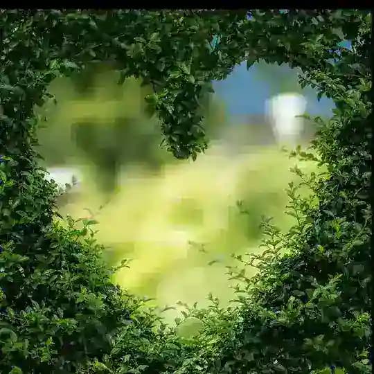 Tipps & Tricks ~ Garten Profile