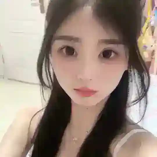 深圳光明考拉🐨
