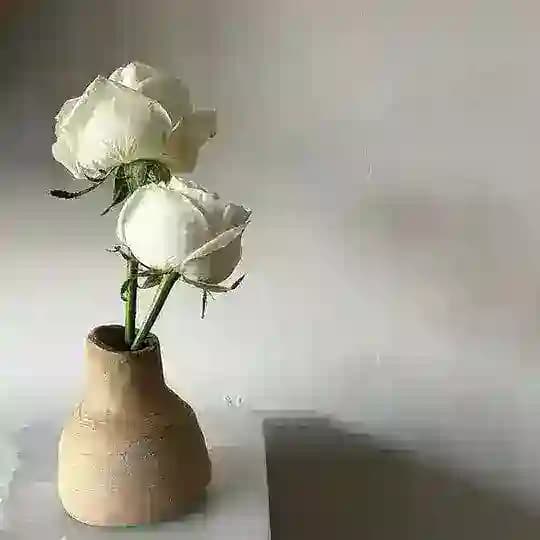 غُصّن.
