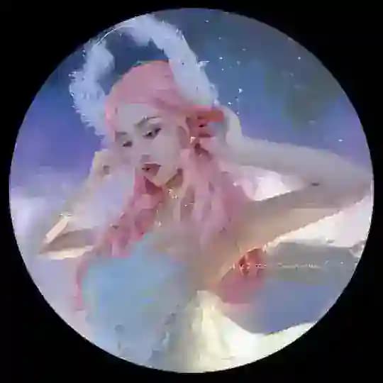 加密大漂亮