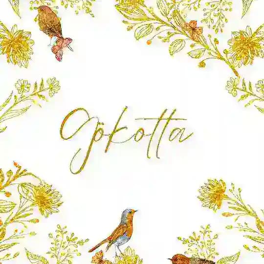 𝙂ö𝙠𝙤𝙩𝙩𝙖 🕊️ Profile