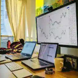 Crypto Pulse Daily Profile