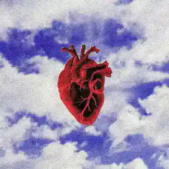 𝙂𝙊𝙊𝘿 𝙑𝙄𝘽𝙀𝙎 𝙊𝙉𝙇𝙔 𝙑𝙊𝙇.2 Profile