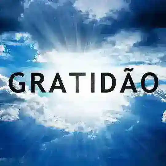 ♪🙏🏻Gratidão por tudo