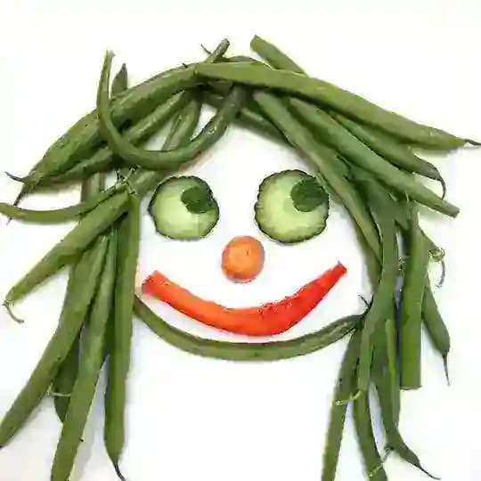 Green path Vegan