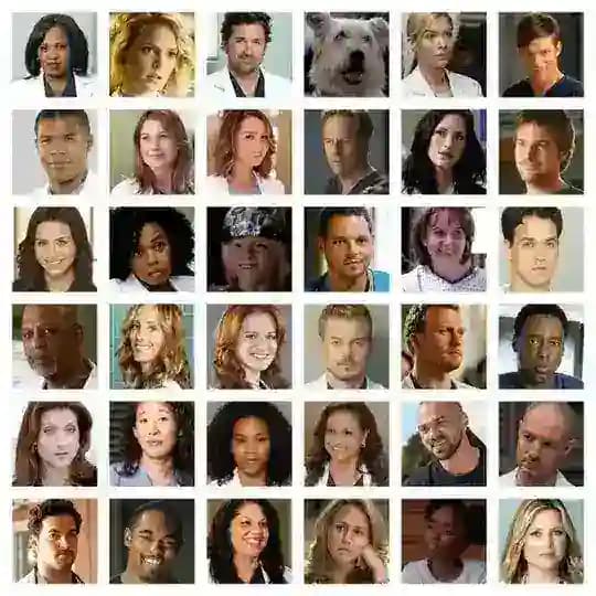 Grey's Anatomy Temporada 18 • Temporada 19 • 1 2 3 4 5 6 7 8 9 10 11 12 13 14 15 16 17 18 19