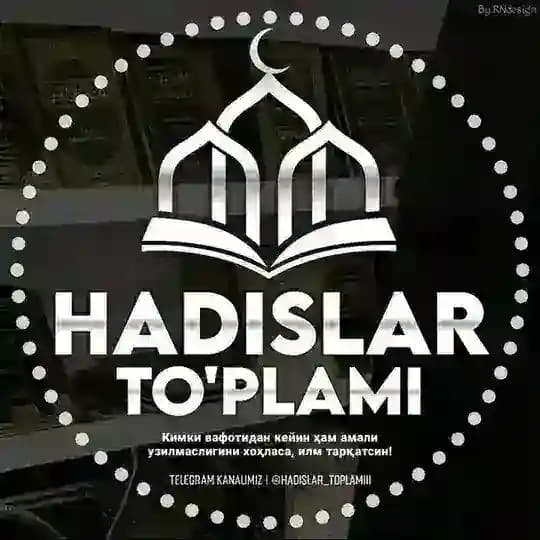 HADISLAR TOPLAMI Profile