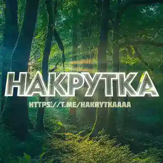 Накрутка ᴮᶦᵍˢᴹᴹ