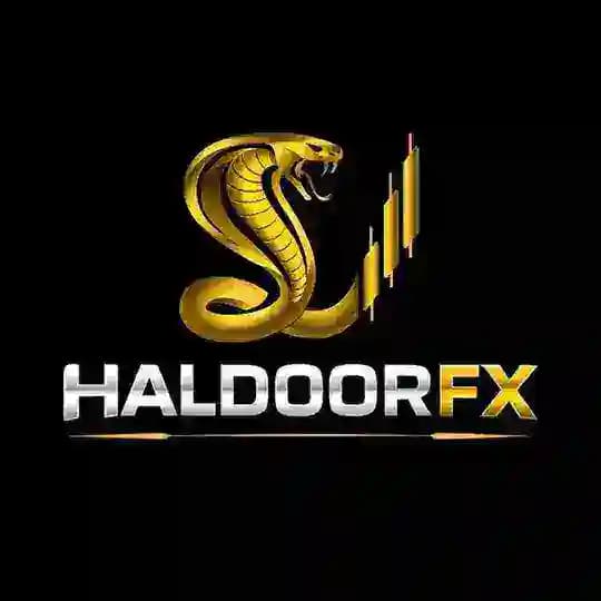 HALDOOR-FX (Community)〽️