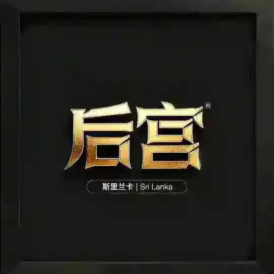 后宫｜斯里兰卡高端外围🇱🇰
